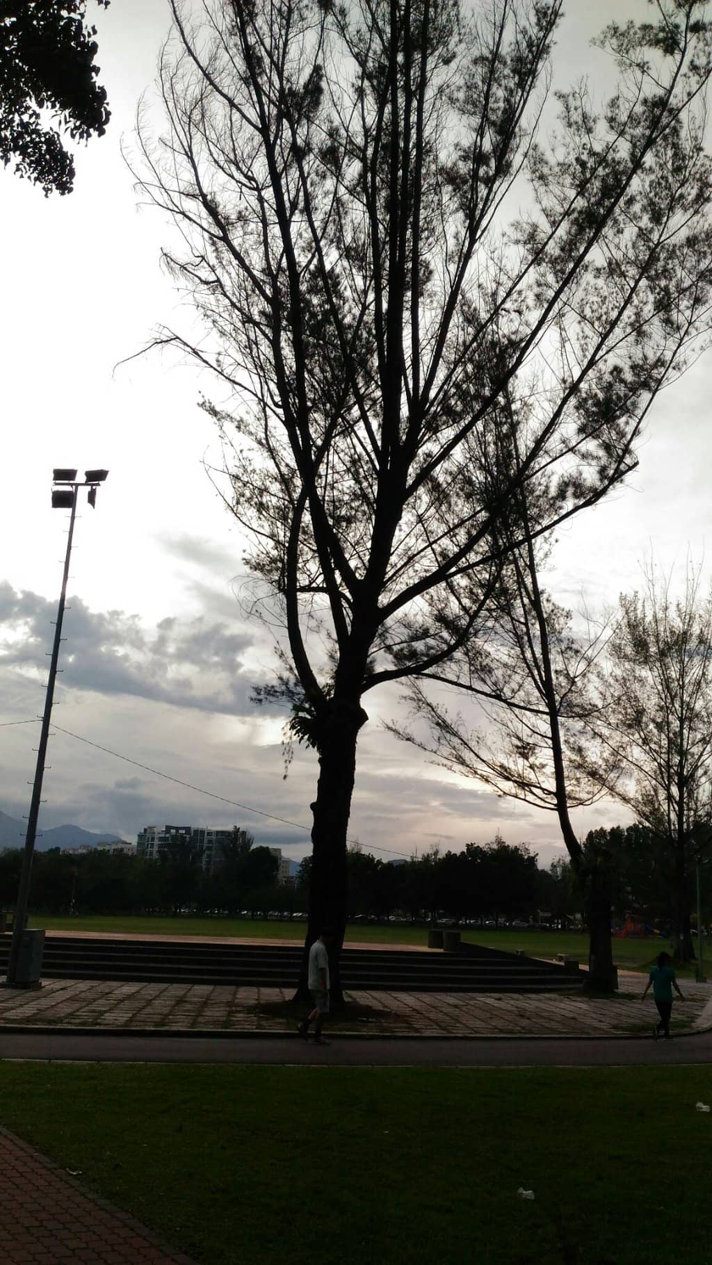 Community Exercise Hub