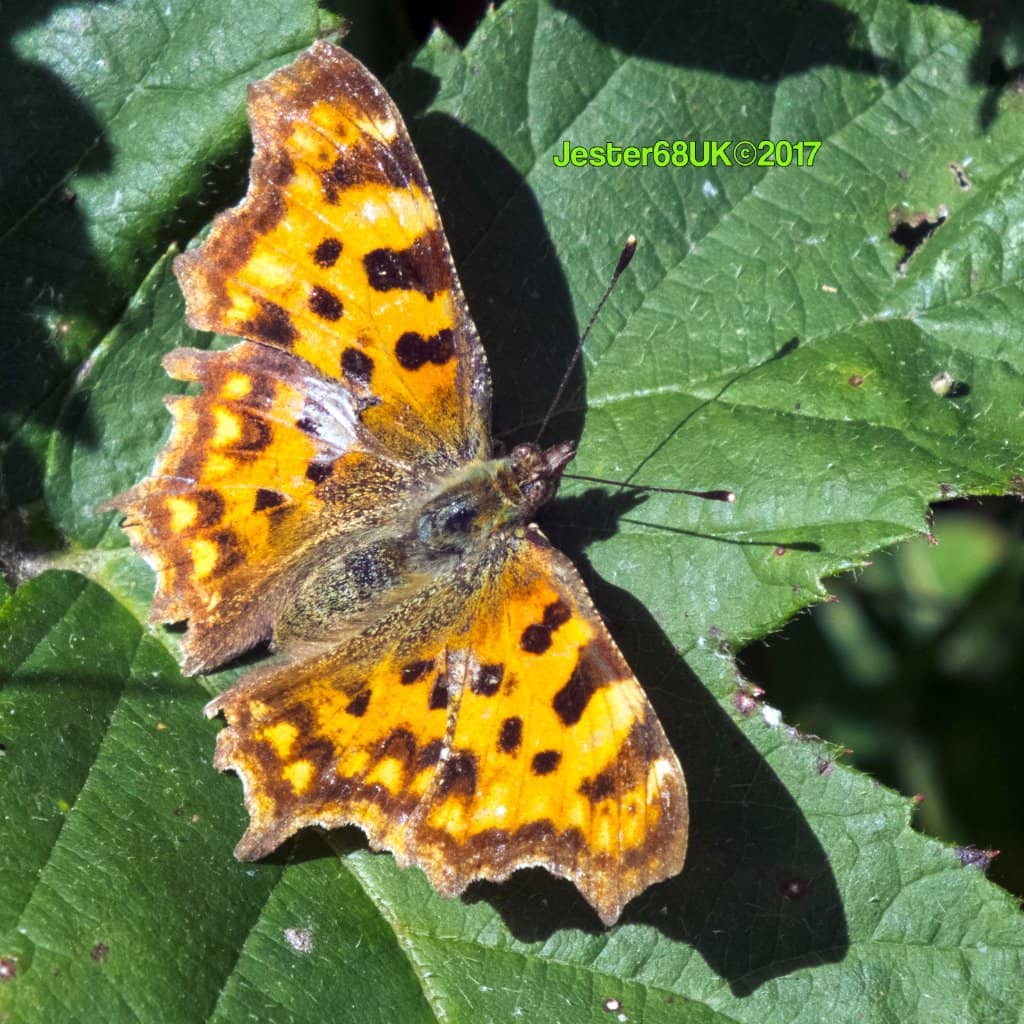 Hidden Natural Beauty