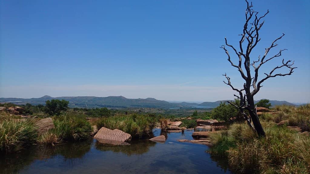 Scenic Hiking Trails