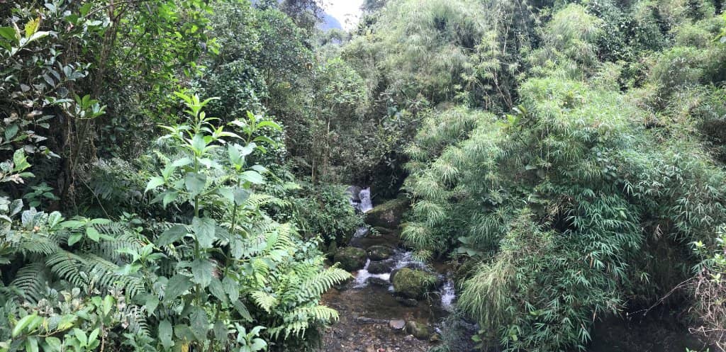 La Chorrera Waterfall