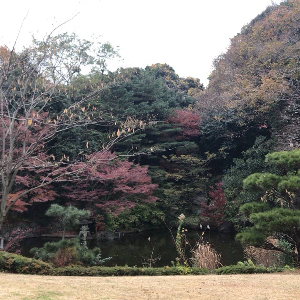 Kid-Friendly Playground