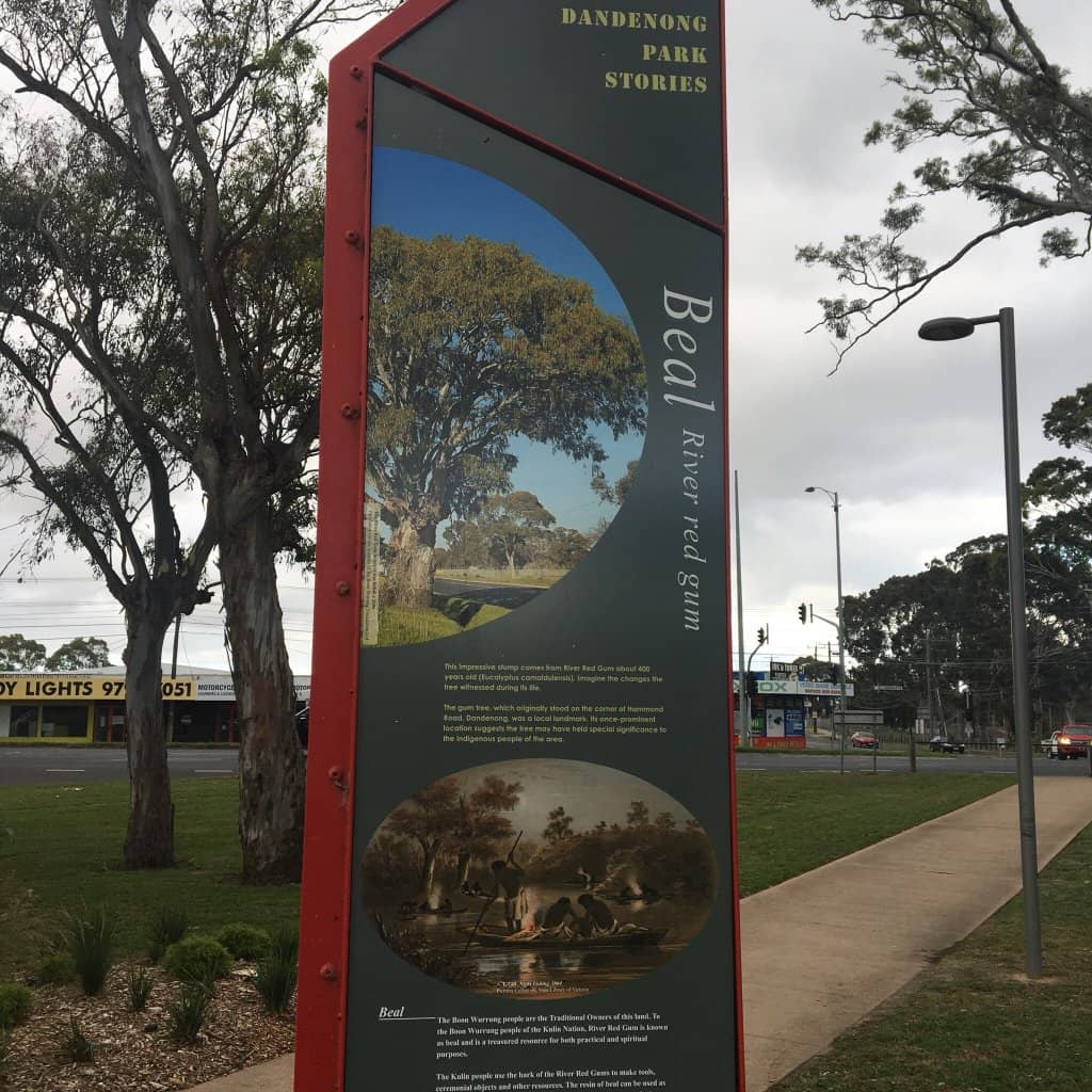 Picnic and BBQ Facilities