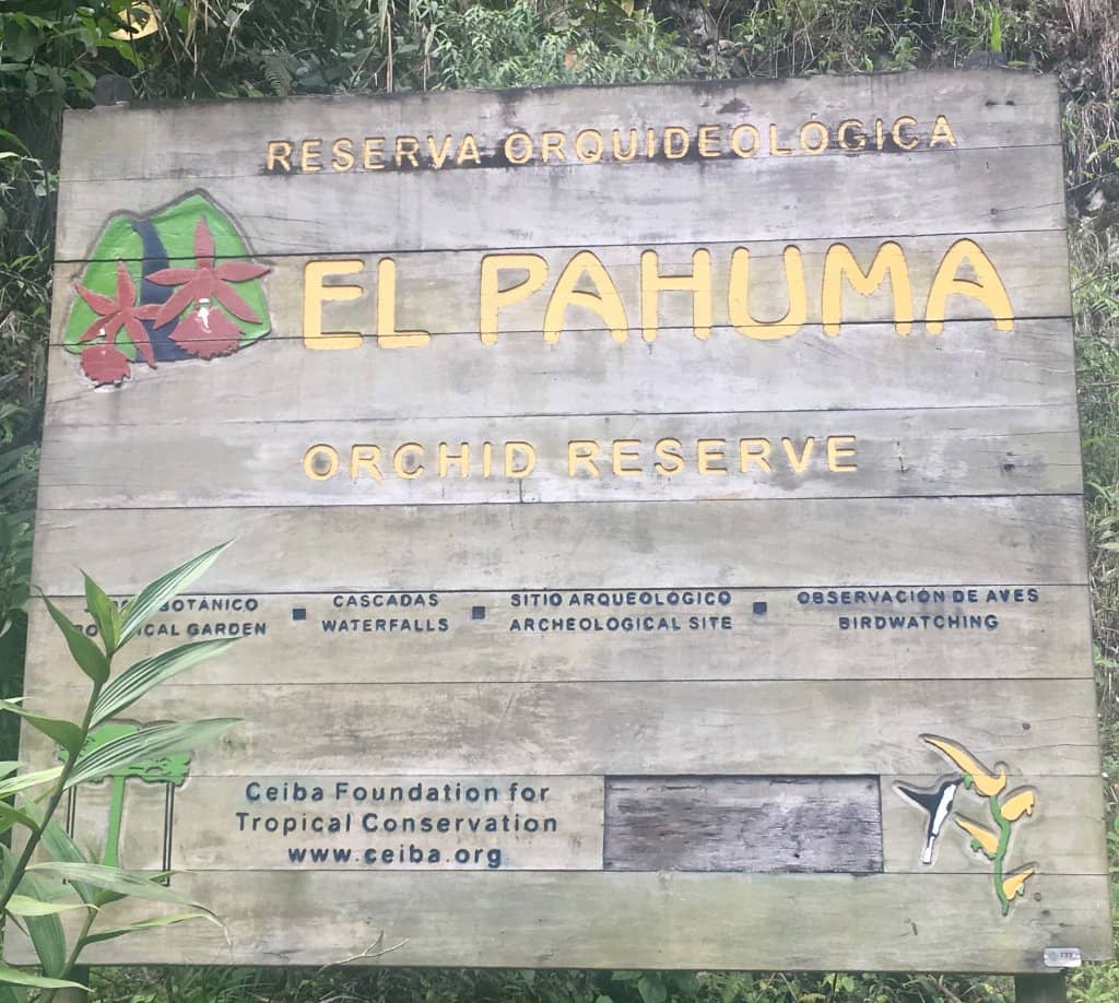 Hummingbird Haven