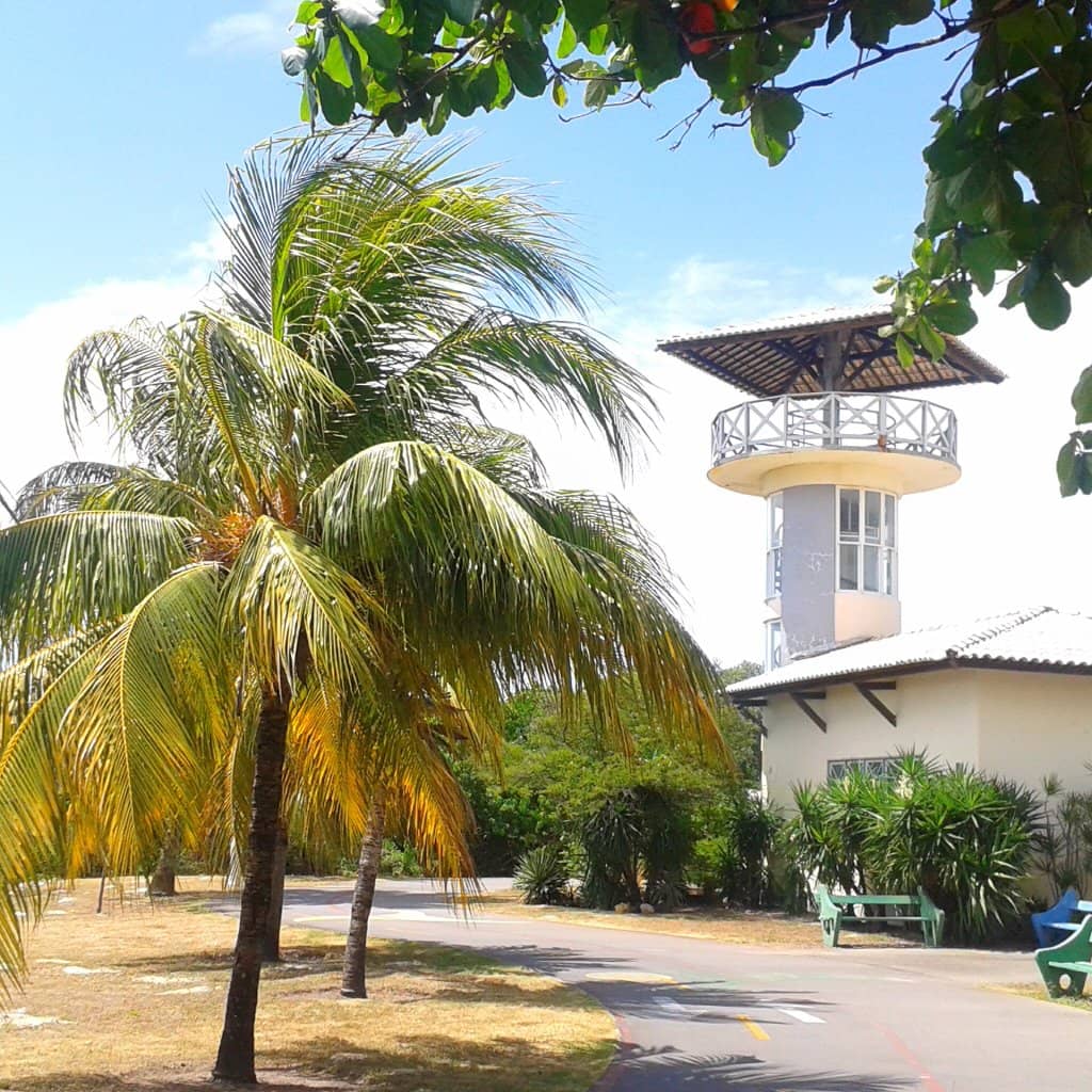 Gastronomic Delights