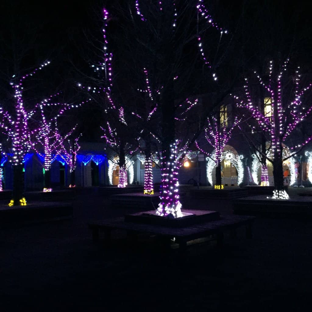 Farm Circus Market & Dining