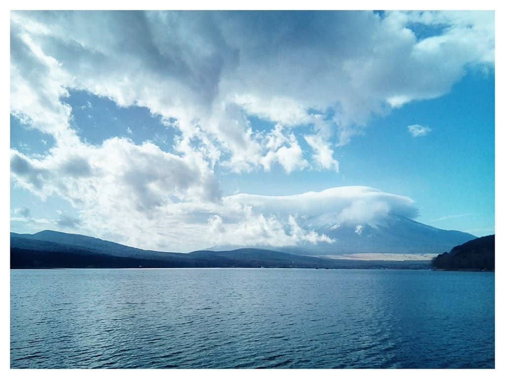 Family-Friendly Park