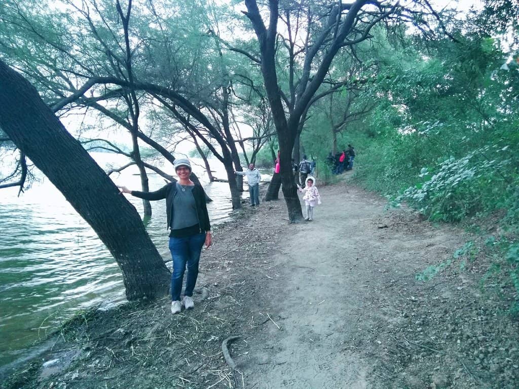 Migratory Bird Haven