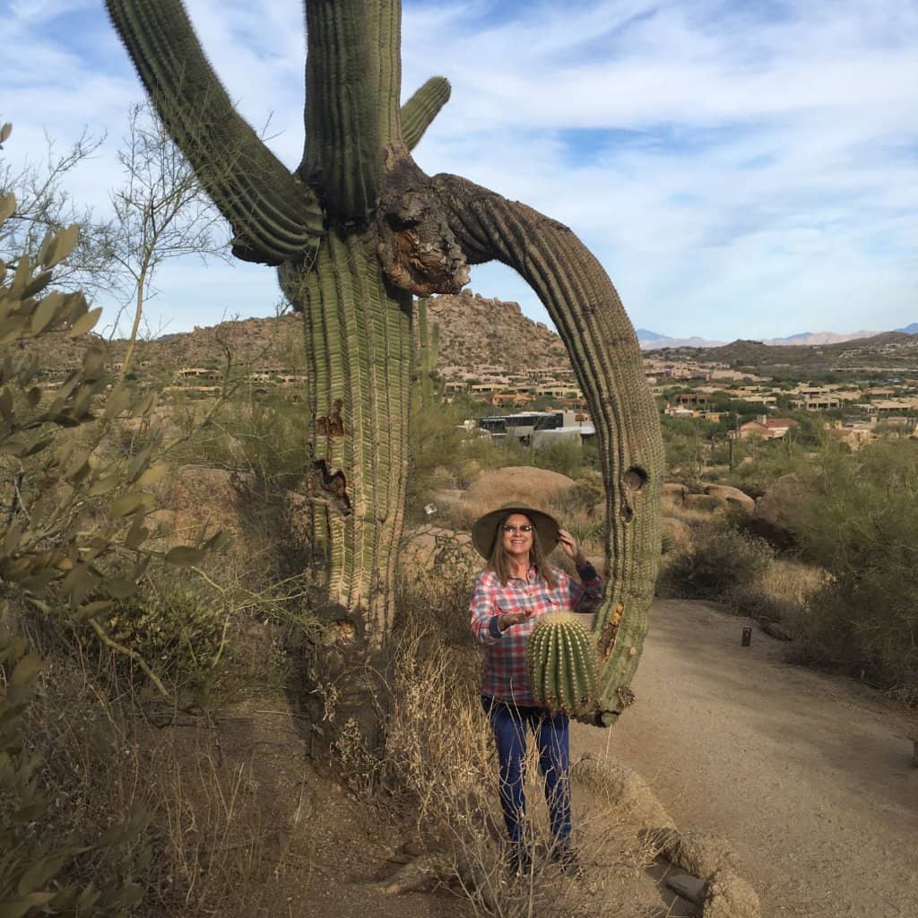 Mount Rainier National Park