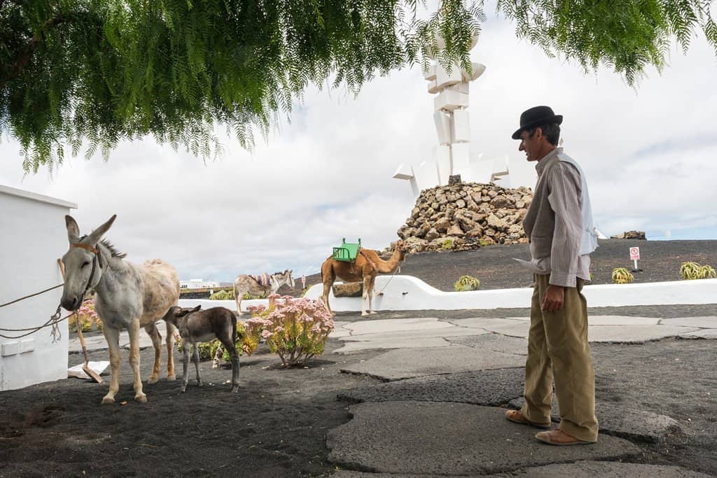 Traditional Canarian Architecture