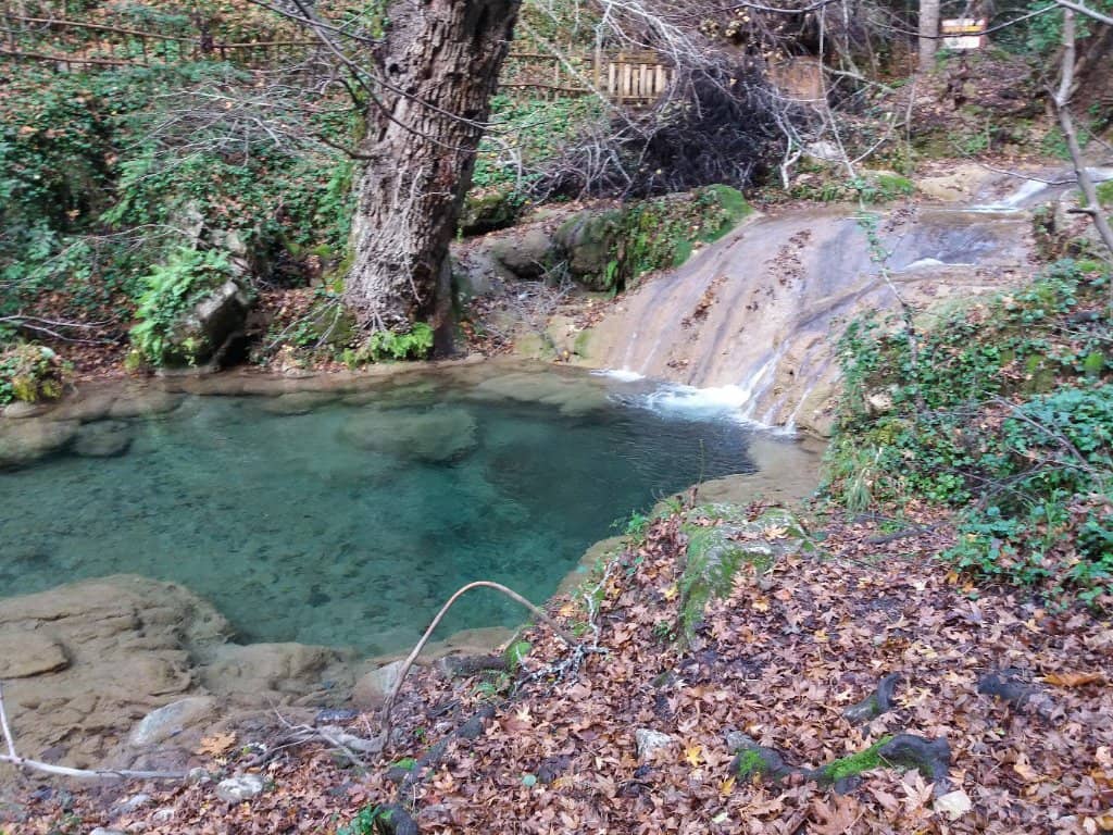 Vibrant Cocktail Menu