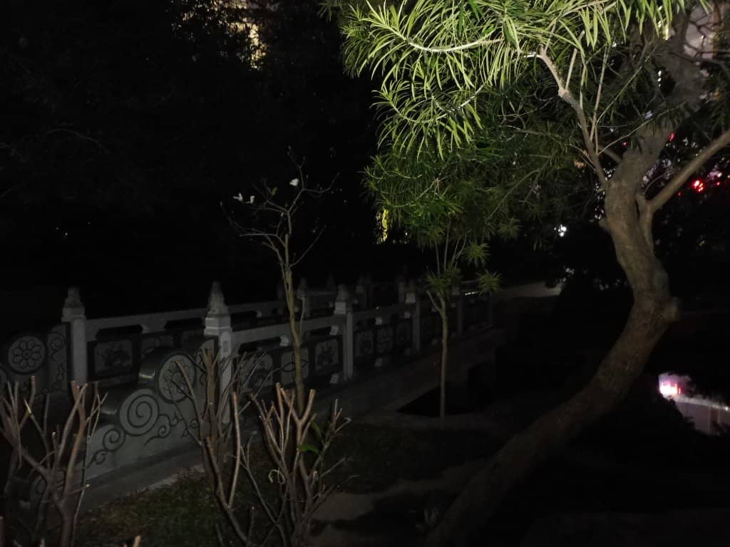 Local Life and Activities