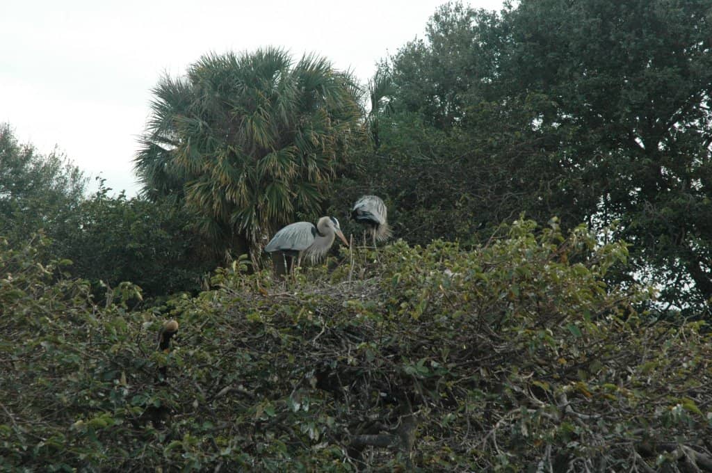 Spectacular Sunset Views