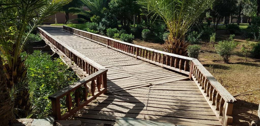 Lush Greenery and Exotic Plants