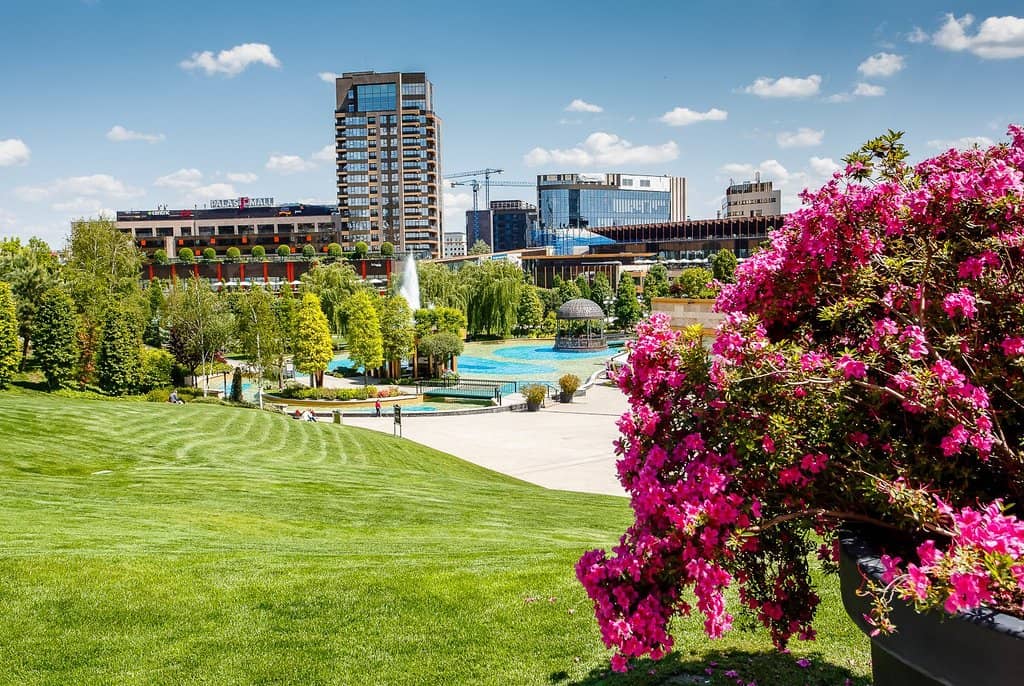 Extensive Shopping Options