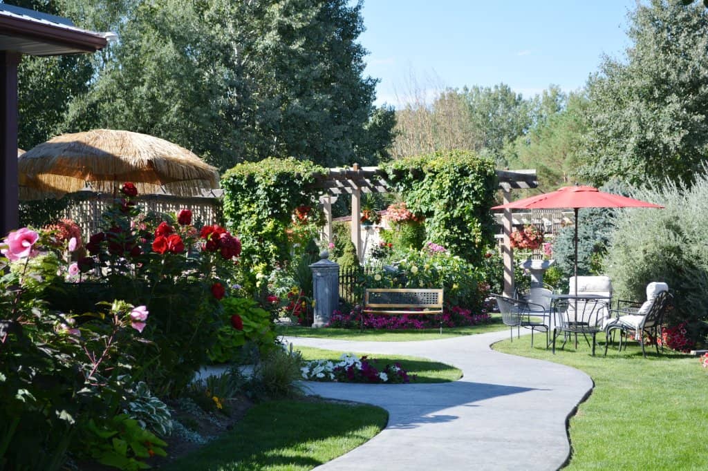 Tranquil Pond and Fish