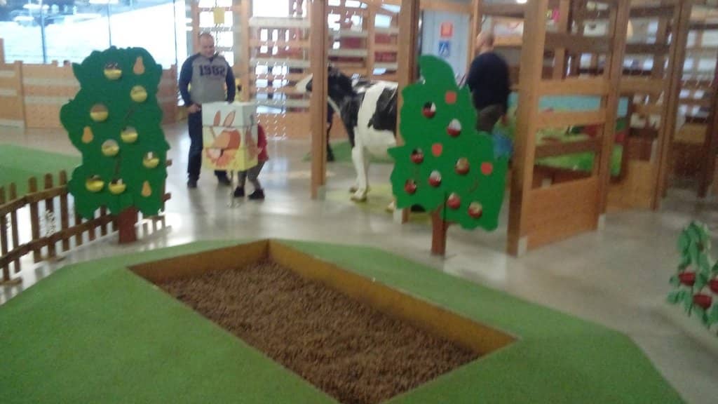 Ecology and Sustainability Focus