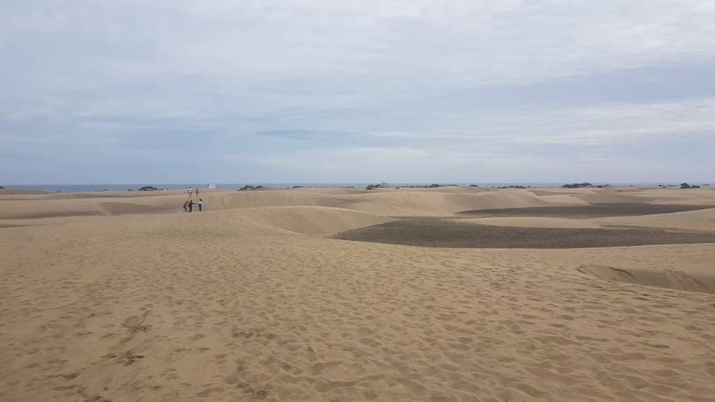 Inviting Swimming Waters