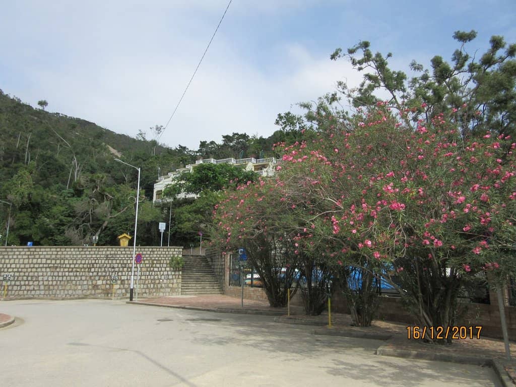 Public Swimming Pool