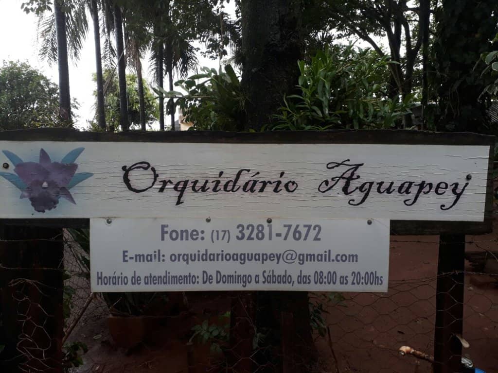 Friendly Animal Encounters