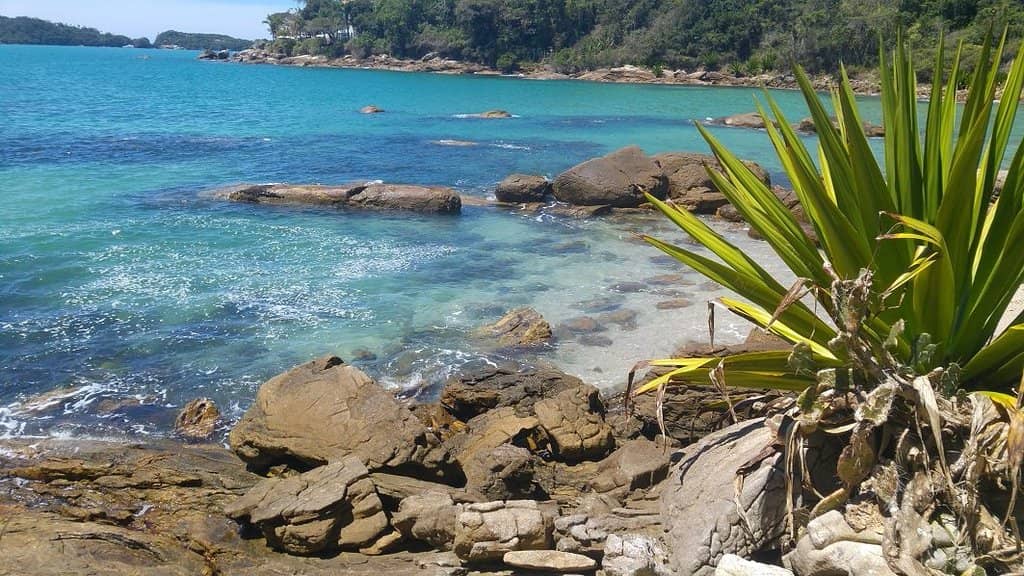 Passarela do Ribeiro