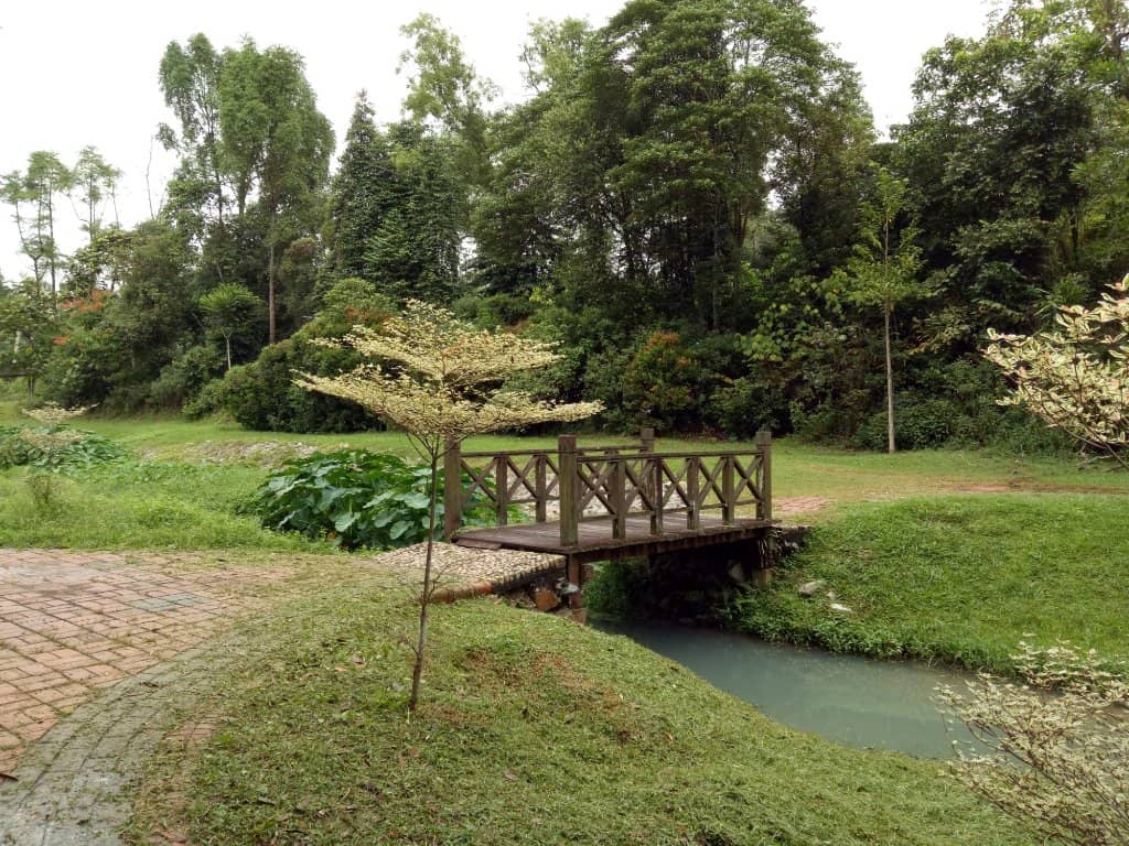 Free Water Play Area