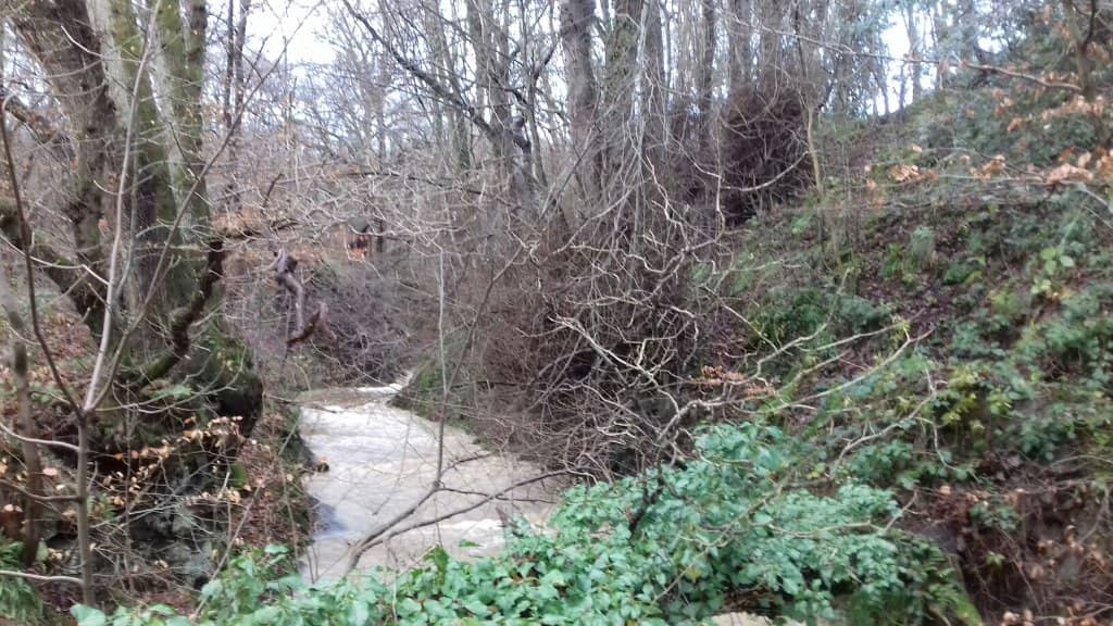 River Blyth