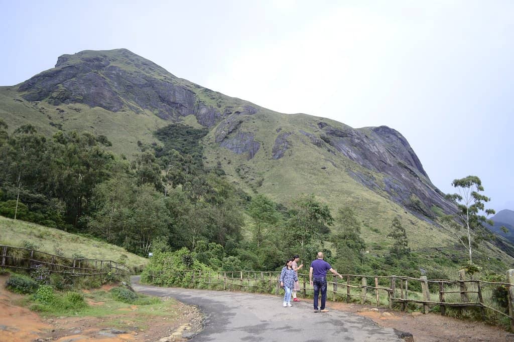 Anamudi Peak Viewpoint