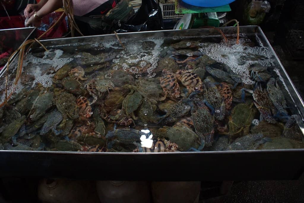 Colorful Souvenir Stalls