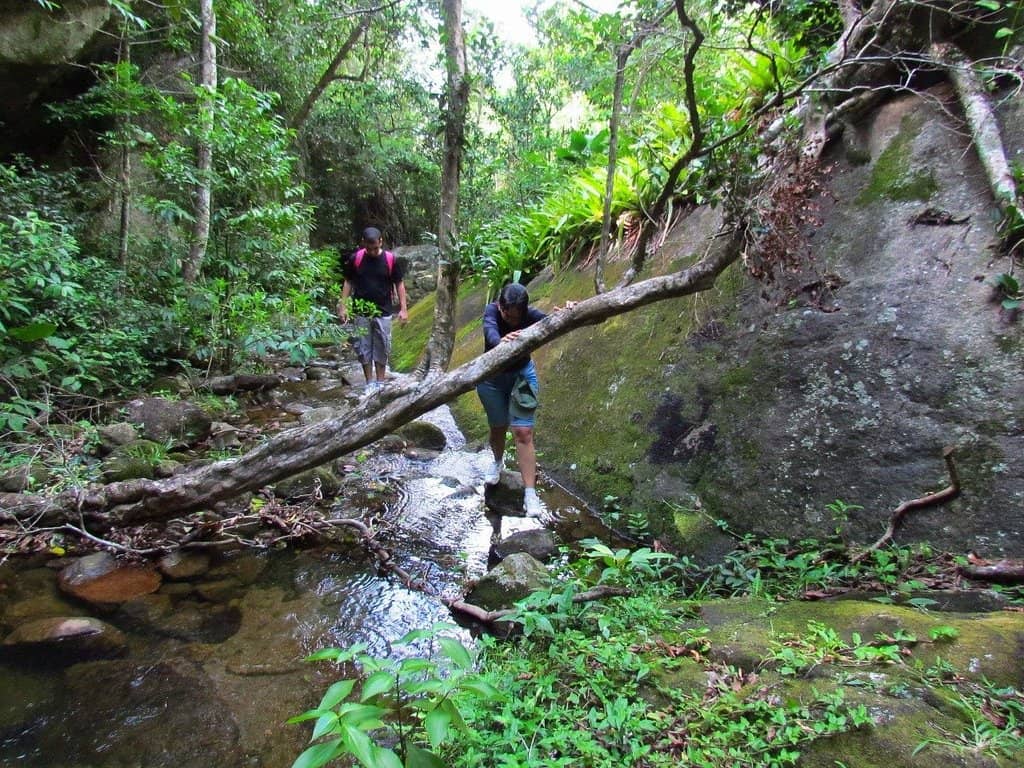 Natural Water Springs