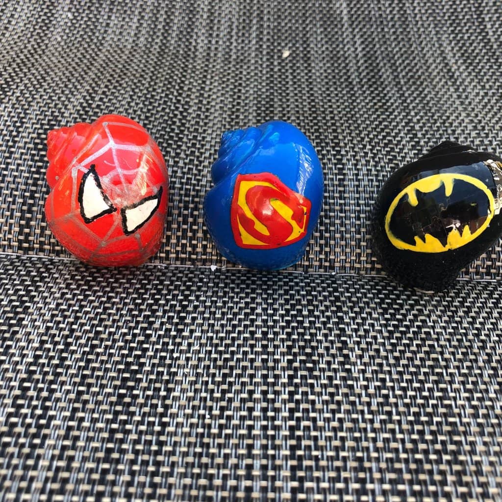 Vast Shell Collection