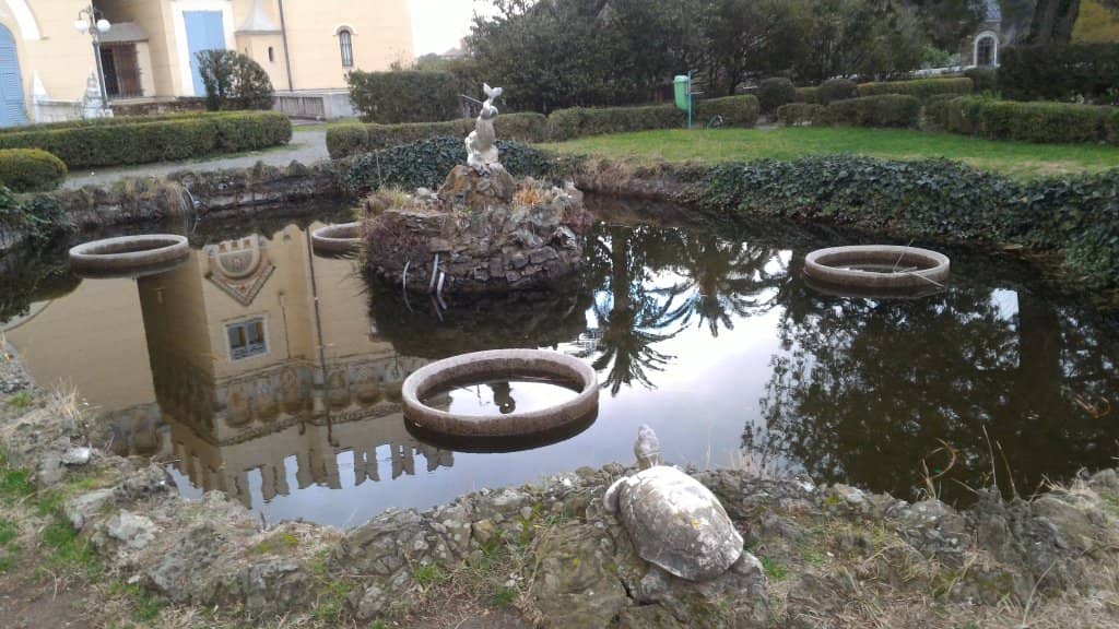 Majestic Century-Old Trees