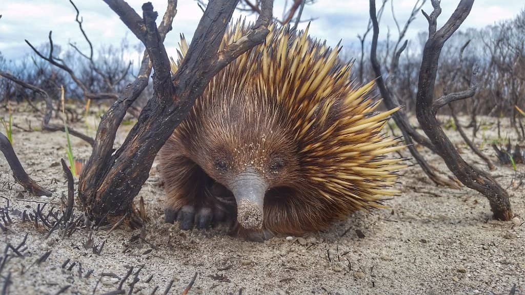 Green Patch Beach & Campground