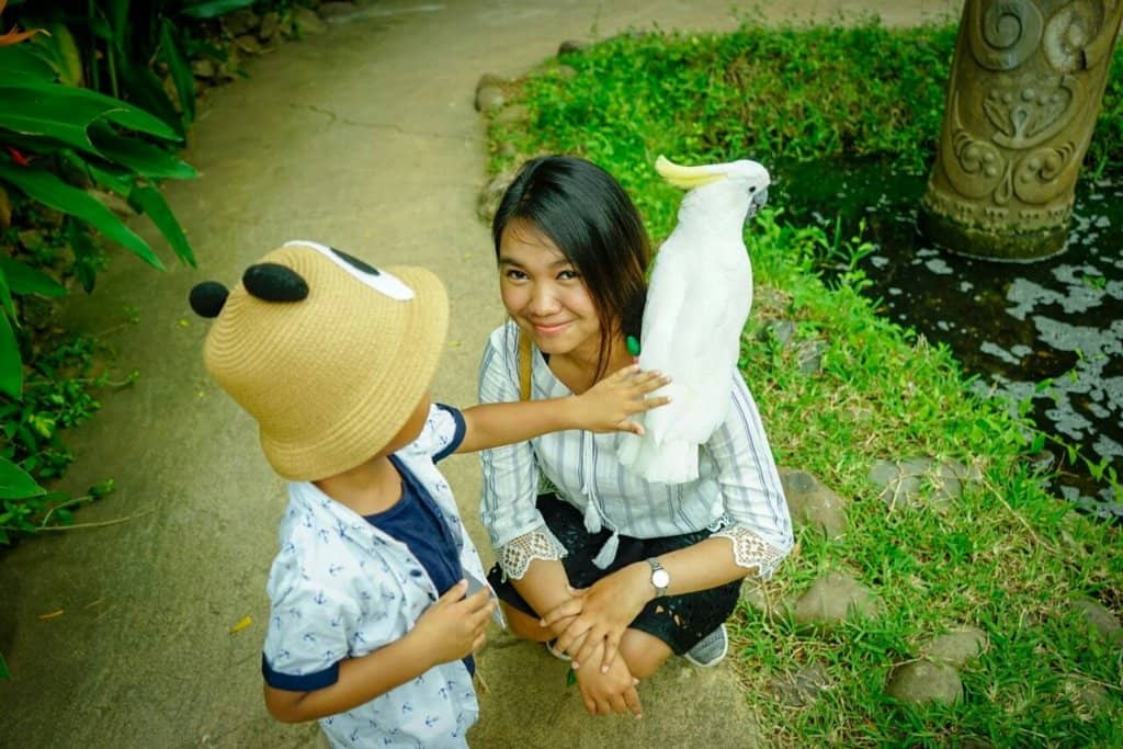 Eco Nature Exploration