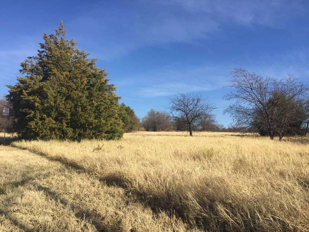 Wooded Trails & Creeks