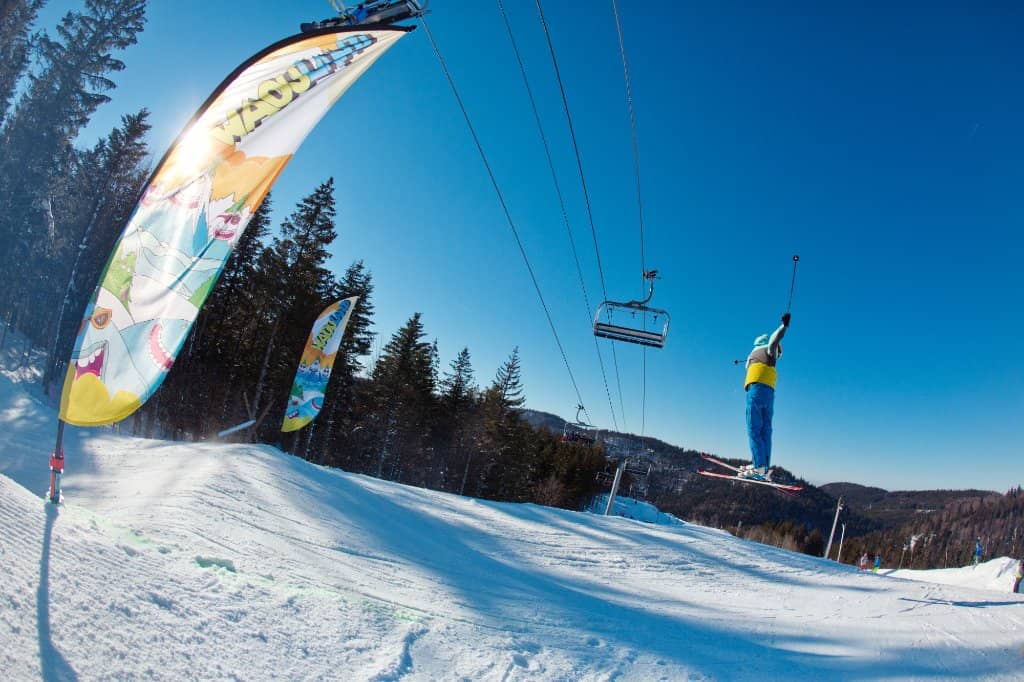 Alpine Coaster Thrills