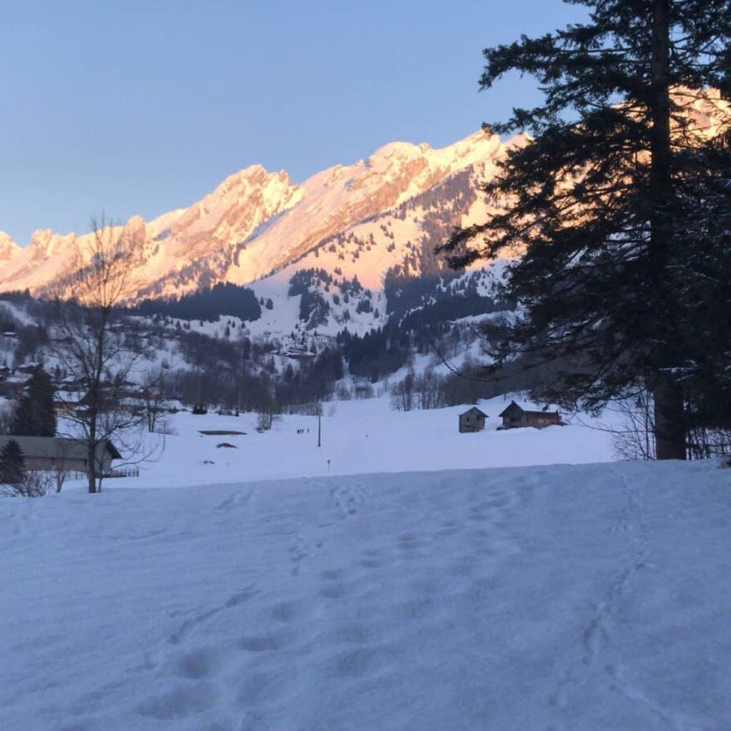 Spacious Garden Oasis