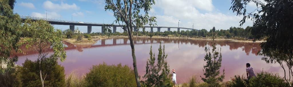 The Famous Pink Lake