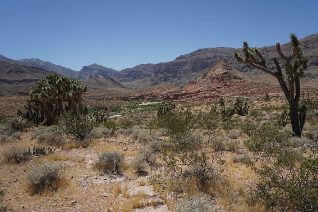 Lower Campground Loop