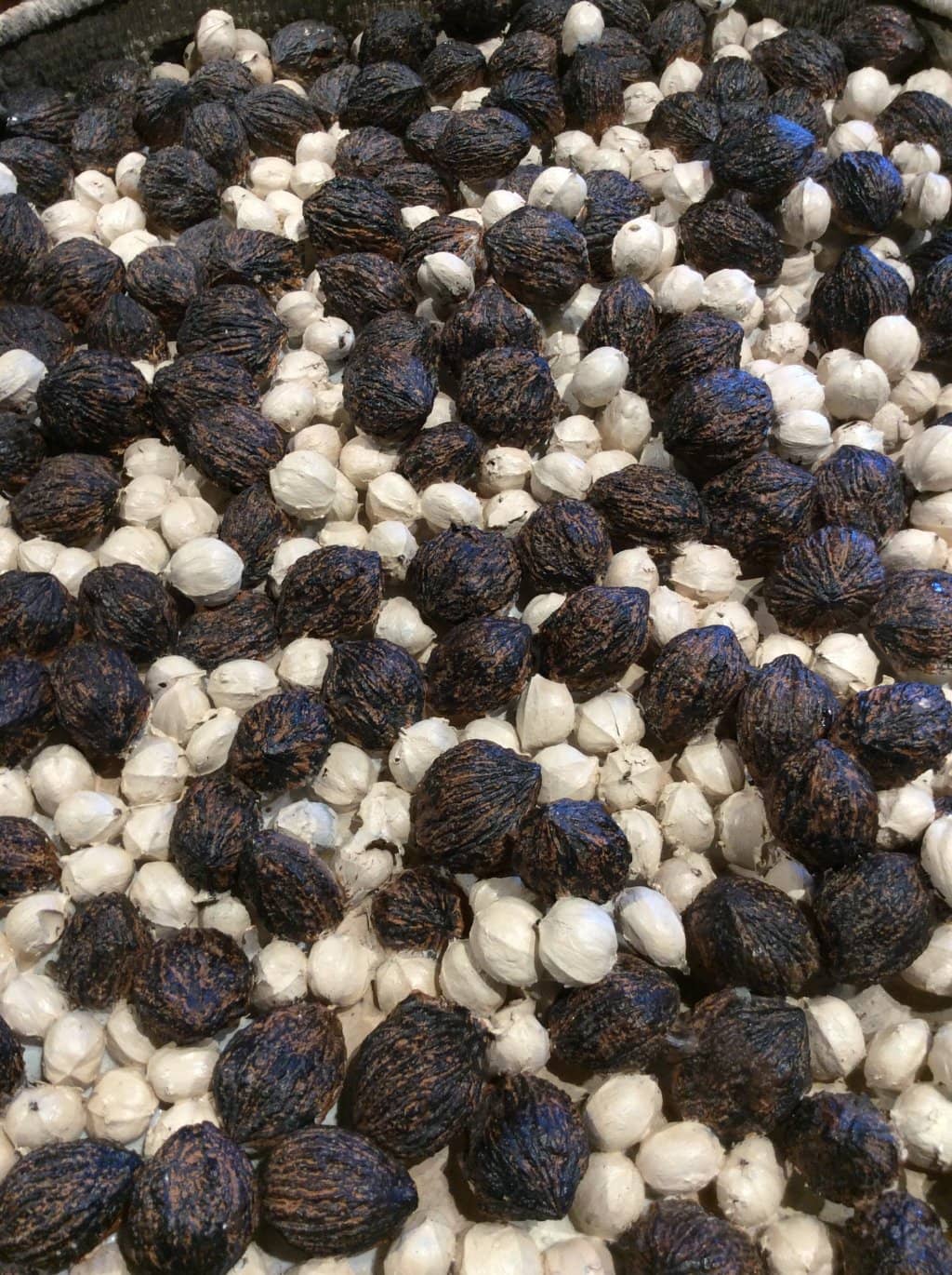 Reconstructed Grass House