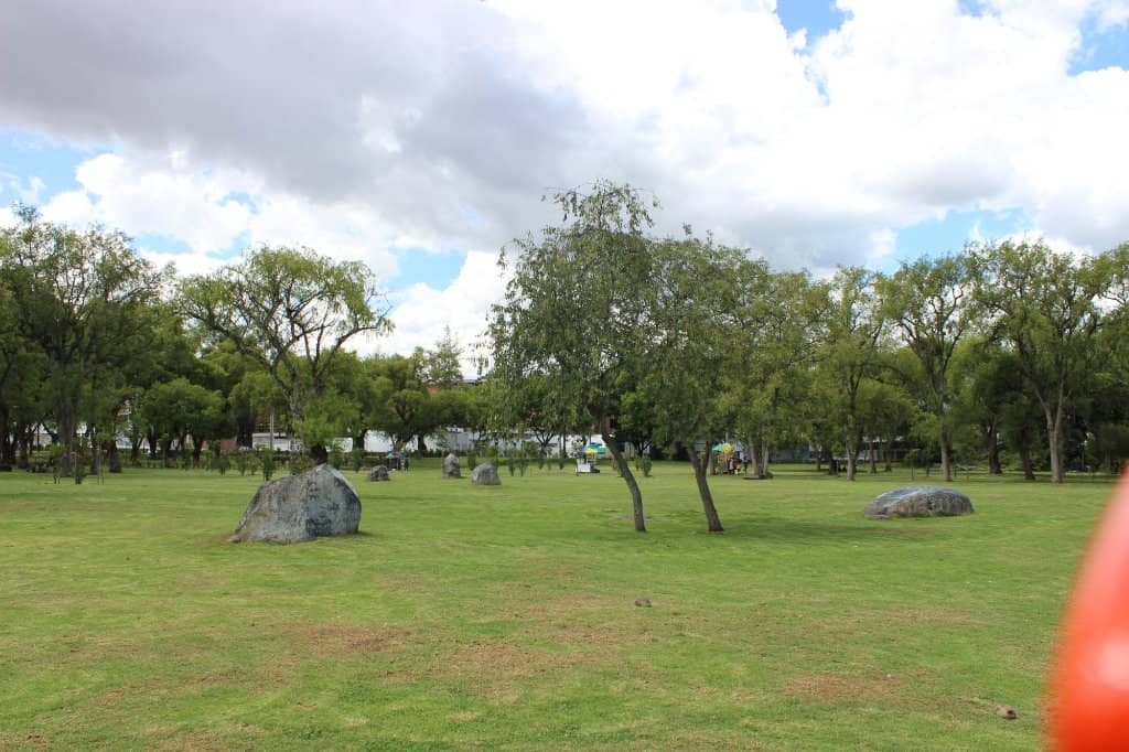 Lush Gardens & Blooming Trees