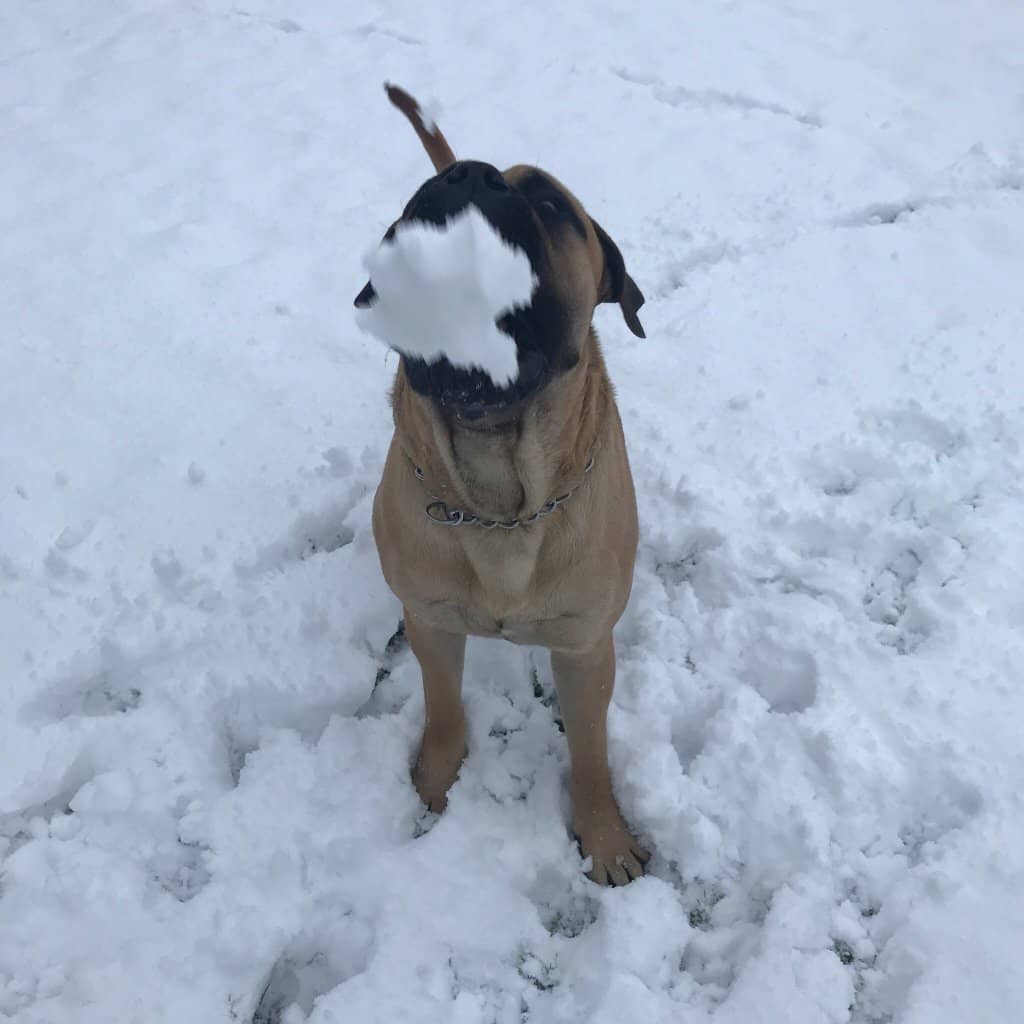 18th-Century Castle Views