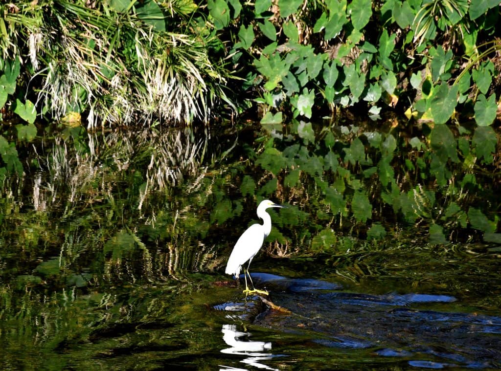 El Molinito del Río La Silla