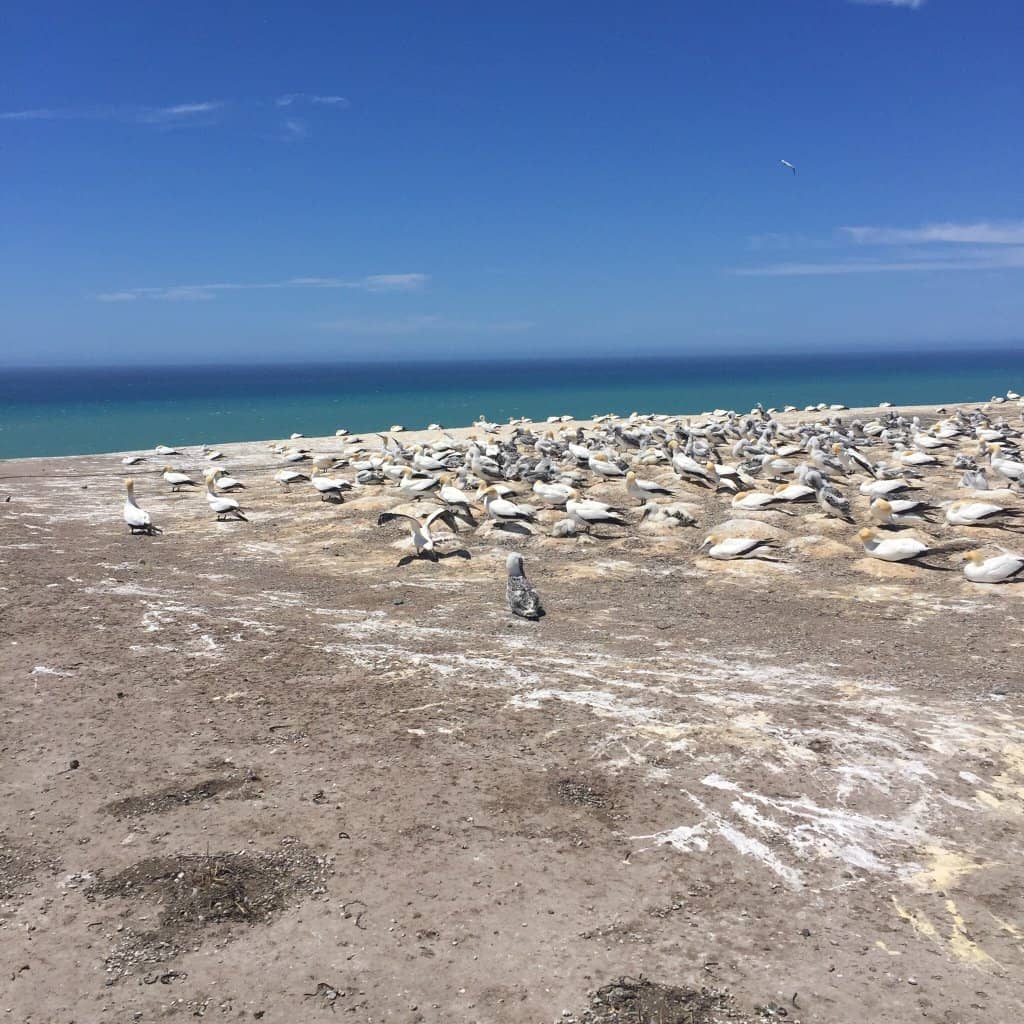 Expert-Led Educational Tours