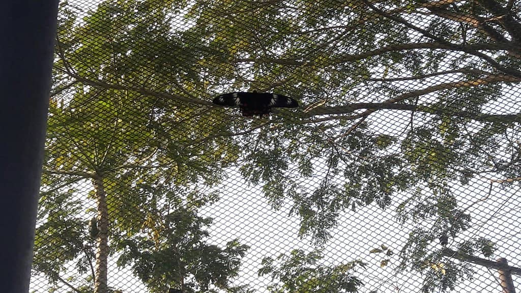 Family-Friendly Play Areas