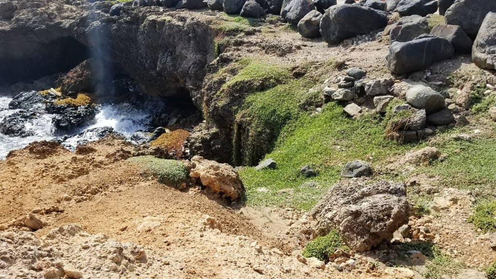 Dramatic Coastal Views