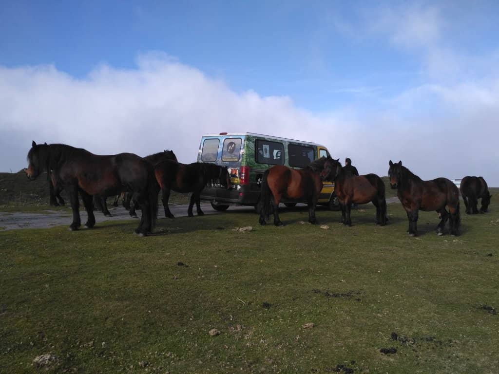 Baztan Adventure Park