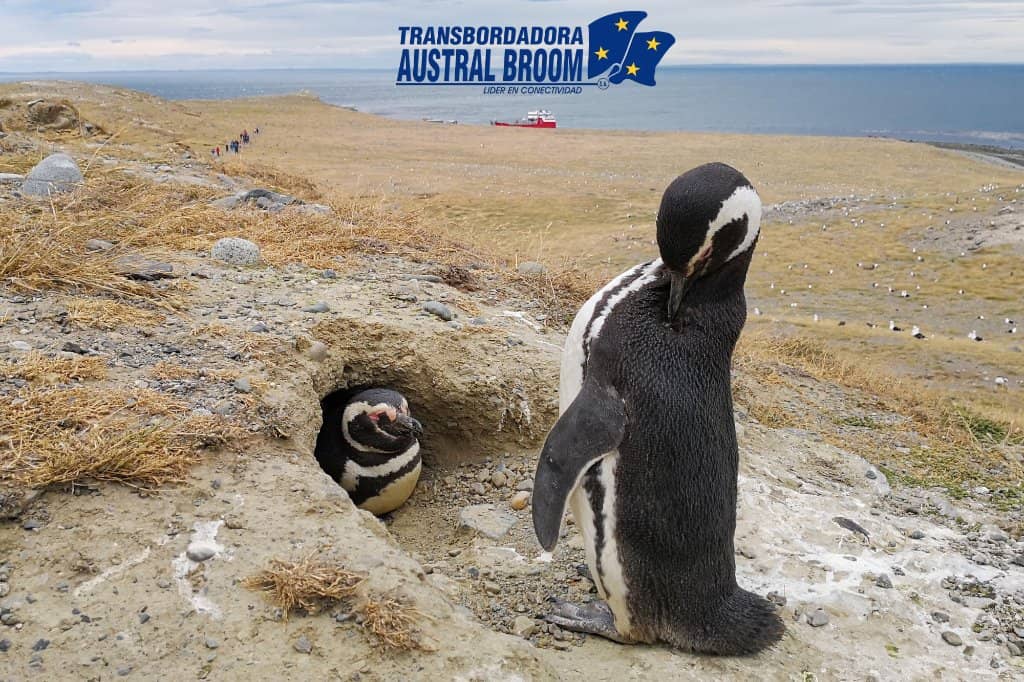 Patagonian Landscapes