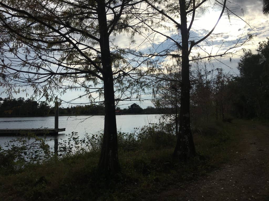 Mountain Biking Trails