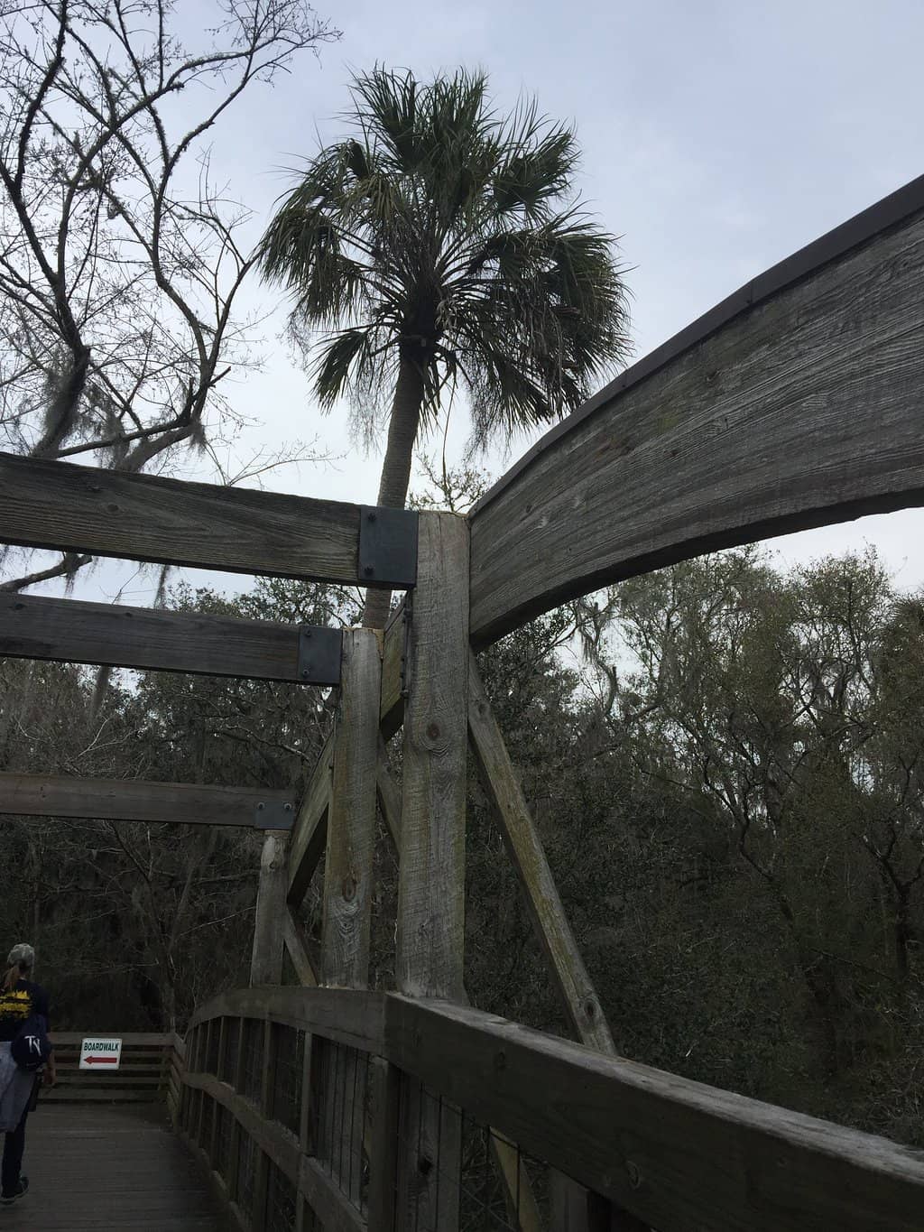 Wildlife Viewing Opportunities