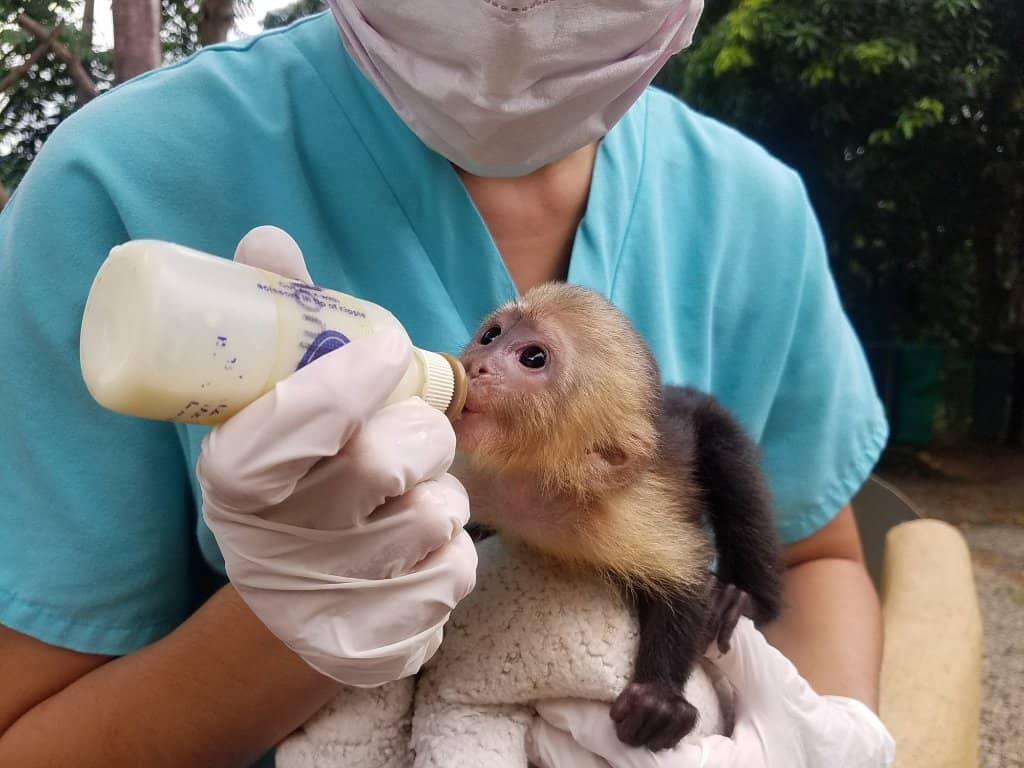 Conservation Education